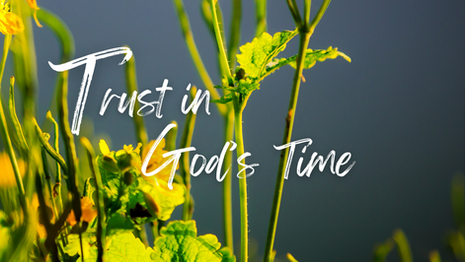 Trust in God's time.