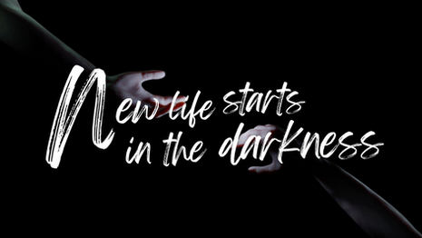 New Life Starts in the Darkness