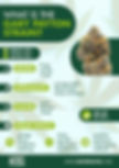 gary payton weed