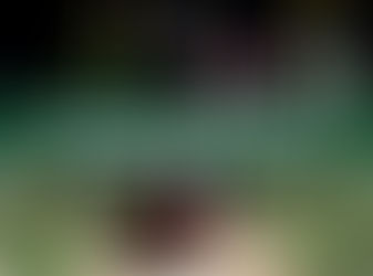 Black Cherry Gelato Strain: Complete Weed Guide