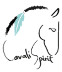 Logo CavaliSpirit à Terra d'âmes - connection et guérison avec les chevaux à Marrakech