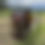 Thumbnail: Portable Saddle Stand