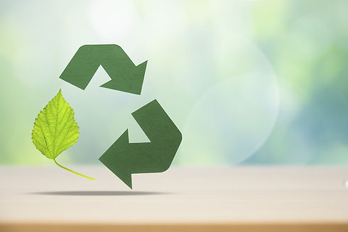 Eco-Friendly Cleaning Services