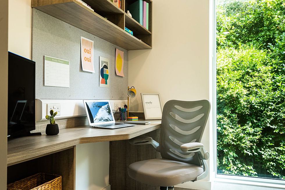 Albany_stills-7-scaled