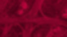 unertl-header-image-unternehmen-komprimi