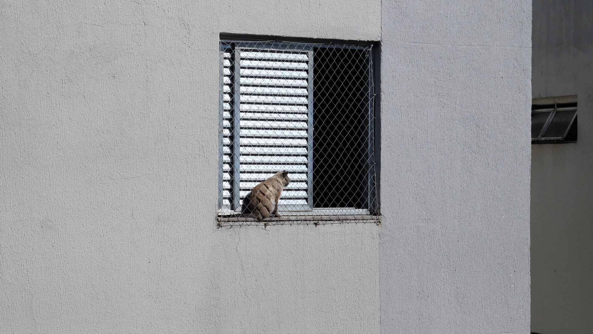 anna-maria-baur-photography-sao-paulo-5