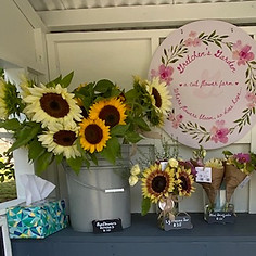 Sunflowers_edited.jpg