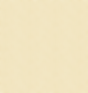 Makower Essentials Stars on Cream Fabric 306/Q6
