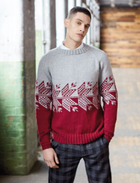 Miniatiūra: Rowan New Nordic Mens Collection - by Arne & Carlos - 12 Designs DK