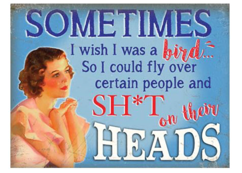 Sometimes I Wish I was a Bird ..... Metal Sign Ideal Gift