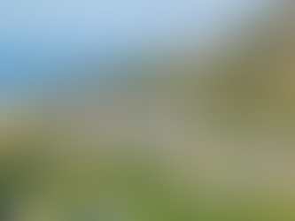 south coast seasonal caravan sites 2026 Guide