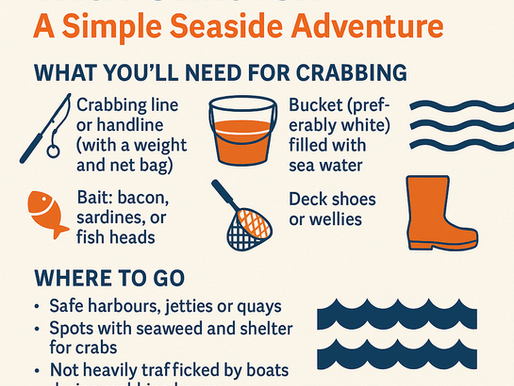 🦀 Quayside Crabbing with Children: A Simple Seaside Adventure