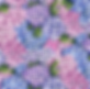Nutex Flower Market Blossom Fabric - Hydrangea Print by Ned Barraud 81090-8