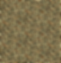 Makower Around the World Fabric - Leopard 2403/V