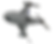 Untitled design (1).png