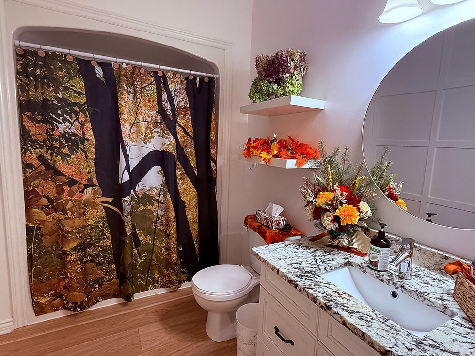 Entrance Of The Bathroom