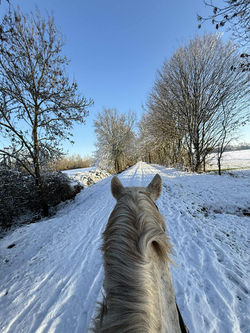 8a53ccb6-a199-41d8-bffe-f53ed3132a8e