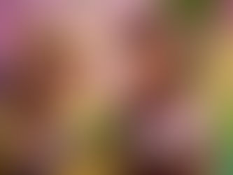 Kixi Entertainment präsentiert: "Bayala - Das magische Elfenabenteuer"