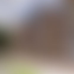 Rendering of a row of modern three-story townhouses with pitched roofs, warm wood siding, and landscaped stoops creating a welcoming, walkable streetscape.