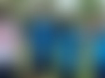 Alunos do Colégio São Francisco Xavier se destacam na OlimpíadasNacional de Ciências 2021