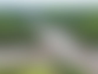 CENIBRA desenvolve programas para garantir a conservação da água, solo, fauna e flora