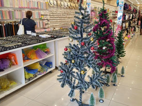 Pesquisa da Aciapi-CDL revela preferências dos consumidores para o Natal