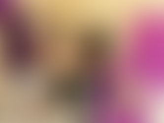 Alimentos arrecadados no Circuito Comunidade são entregues a entidades