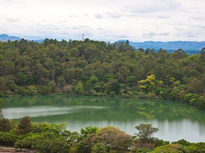 Usiminas comemora Dia Mundial do Meio Ambiente e avanços na gestão ambiental