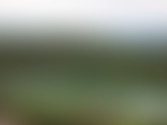 Usiminas comemora Dia Mundial do Meio Ambiente e avanços na gestão ambiental