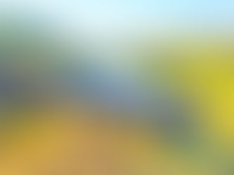 ANTT assina renovação de contrato com a MRS nesta sexta-feira (29/7)