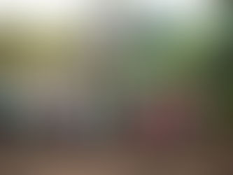 Dia Mundial do Meio Ambiente tem programação especial da Usiminas