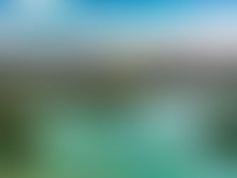 Usiminas é eleita uma das melhores empresas em sustentabilidade empresarial