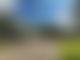 Usiminas celebra aniversário de Ipatinga com ações para a comunidade no Parque Ipanema