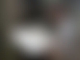 Herbário do Parque Estadual do Rio Doce disponibiliza coleção online