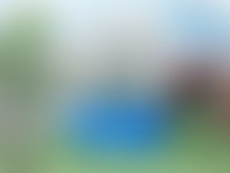 Colégio São Francisco Xavier de Portas Abertas