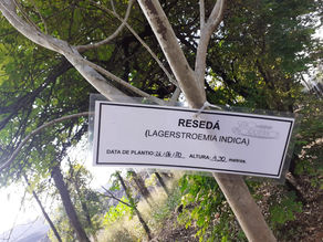 Usiminas inicia nova pesquisa com a comunidade de Ipatinga