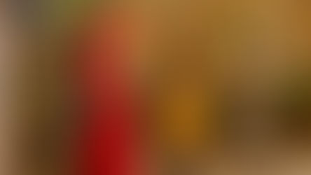 Projeto Pedra Mole Estação das Artes recebeu quase 2 mil visitantes em 2025