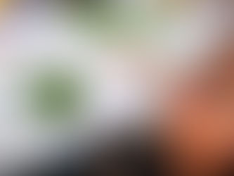 Cursos e oficinas movimentam Ação Educativa em novembro