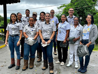 Todos juntos contra o Aedes aegypti