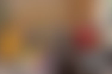 Projeto Pedra Mole retoma visitas às ruínas da primeira estação do Vale do Aço