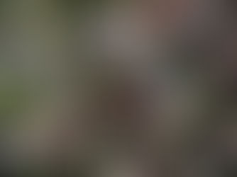 Hospital Maternidade Vital Brazil realiza processo de cadastramento para Doulas