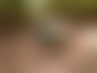  CENIBRA investe em transporte seguro e confortável para colaboradores