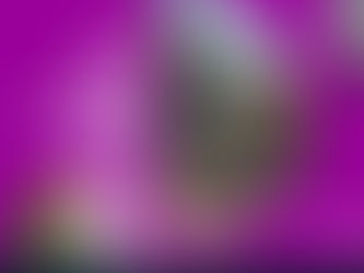 Usiminas divulga Relatório de Sustentabilidade