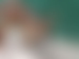 USIPA - Filhote de veado resgatado em Sabinópolis é acolhido no Cebus para cuidados