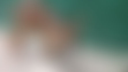 USIPA - Filhote de veado resgatado em Sabinópolis é acolhido no Cebus para cuidados