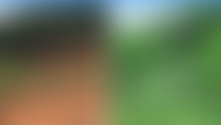 CENIBRA transforma resíduos industriais em solução sustentável para recuperar áreas degradadas