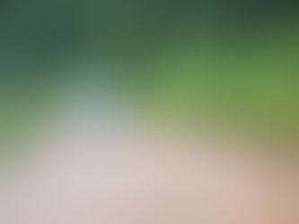 Usiminas reconhece iniciativas socioambientais com o Prêmio Mobiliza