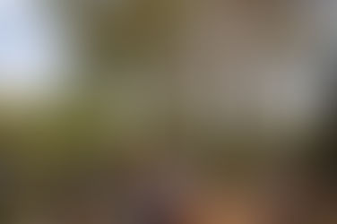 Passeio turístico e visitação ao Viveiro de Mudas são destaques da semana no Instituto Usiminas