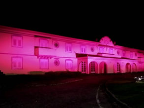 Rosa é a cor deste mês e da Fundação Aperam Acesita