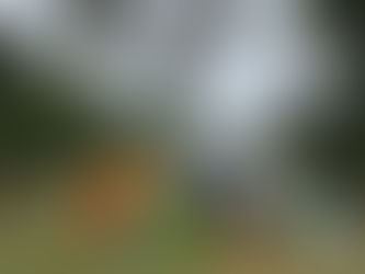 Contém Cultura suspende funcionamento por conta da pandemia do coronavírus